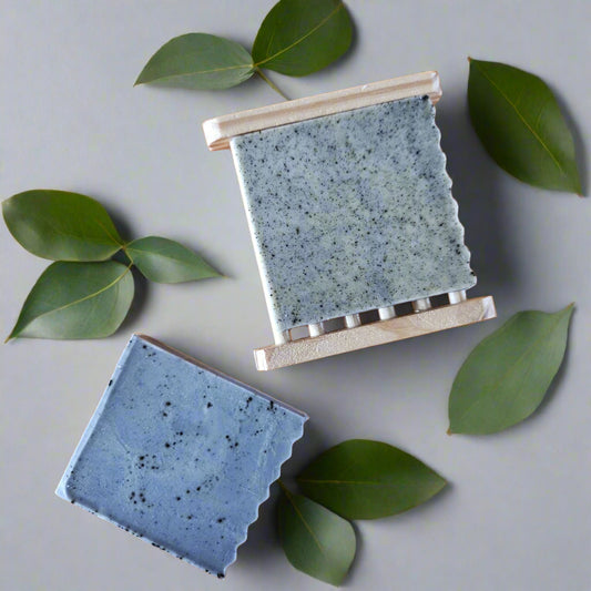 Aloe Eucalyptus | Goat Milk Soap Bar 50g